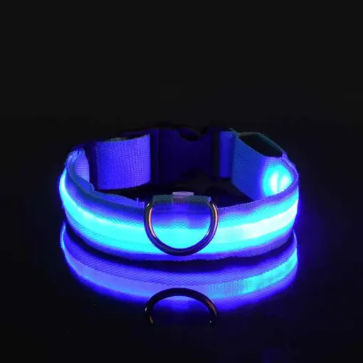 Glow-In-The-Dark Pet Collar For Dog & Cat; LED Dog Collar For Night Walking; USB charging - Image 2