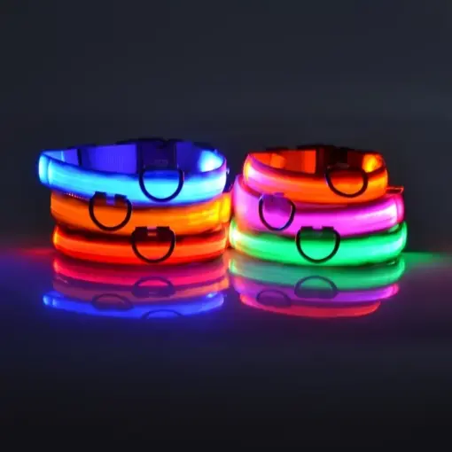 Glow-In-The-Dark Pet Collar For Dog & Cat; LED Dog Collar For Night Walking; USB charging - Image 3