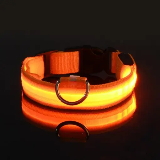 Glow-In-The-Dark Pet Collar For Dog & Cat; LED Dog Collar For Night Walking; USB charging - Image 6