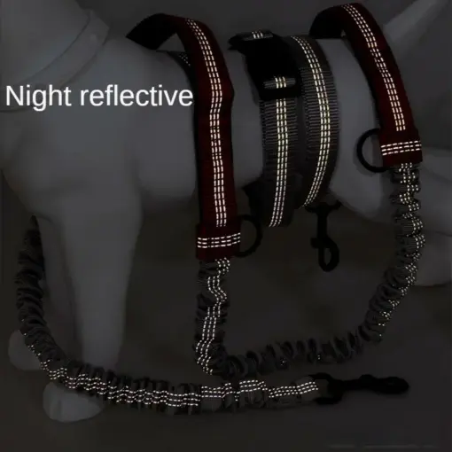 Hands Free Dog Leash for Medium and Large Dogs - Durable Dual Handle Waist Leash with Reflective Bungee for Running; Walking; Training; Hiking - Image 4