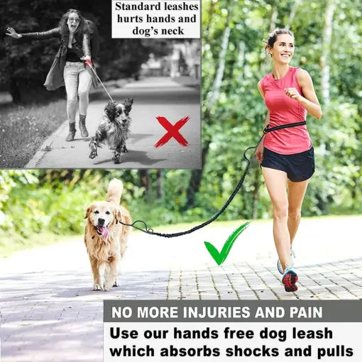 Hands Free Dog Leash for Medium and Large Dogs - Durable Dual Handle Waist Leash with Reflective Bungee for Running; Walking; Training; Hiking - Image 5